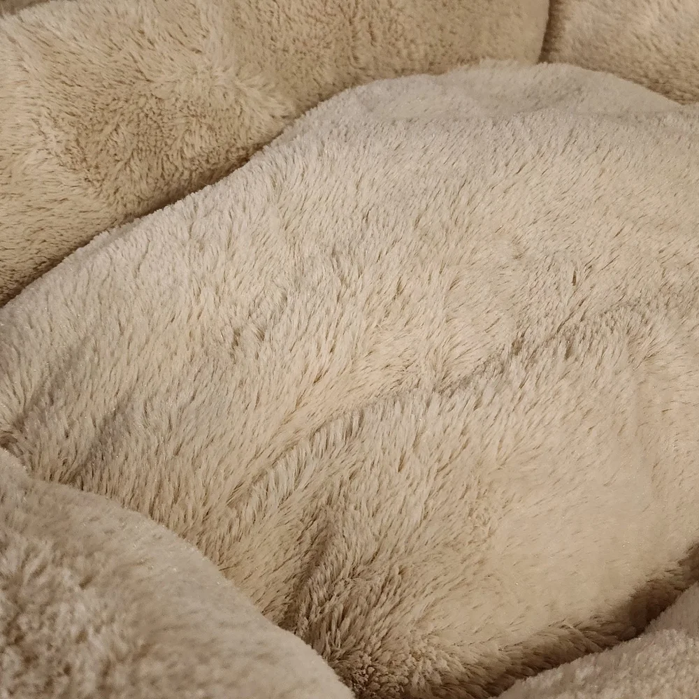 Vibrant Life Cream Pet Bed